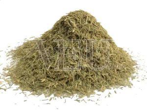 Lemon Grass TBC