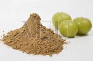 Organic Amla Powder