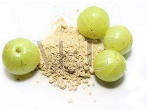 Organic Bhoomi Amla Powder