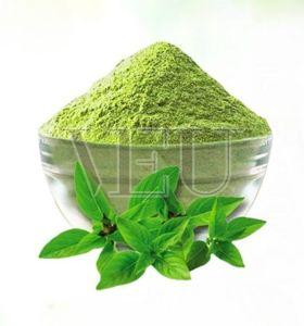 Organic Krishna Tulsi Powder