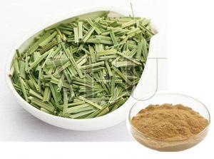 Organic Lemon Grass Powder