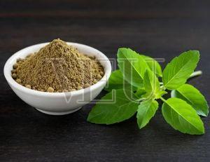 Organic Rama Tulsi Powder