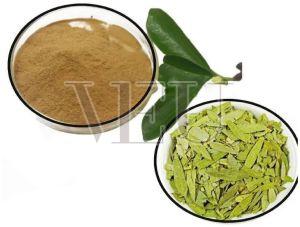 Organic Senna Leaves Powder