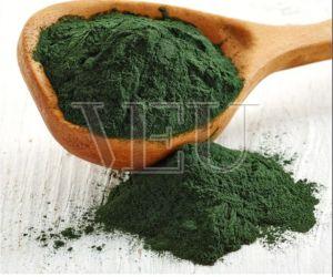 Organic Spirulina Powder