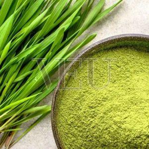 Organic Wheatgrass Powder