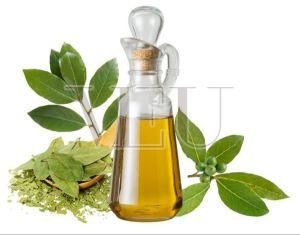 Pure Bay Leaf Essential Oil