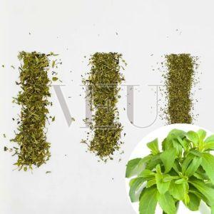 Stevia Leaves TBC