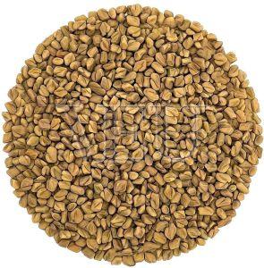Vibhitaki Fruit TBC
