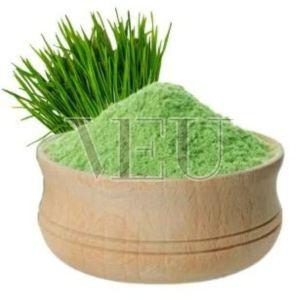 Wheat Grass TBC