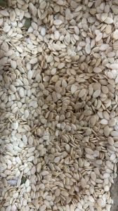 Natural Watermelon Seed