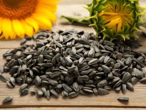 Organic Sunflower Seeds