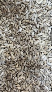 Organic Sunflower Seeds