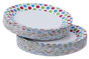 10 Inch Disposable Printed Paper Plate