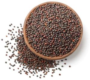 Black Mustard Seed