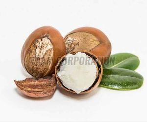 Organic Shea Nut