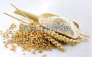 Natural Wheat Flour
