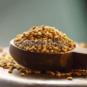Organic Whole Fenugreek Seeds