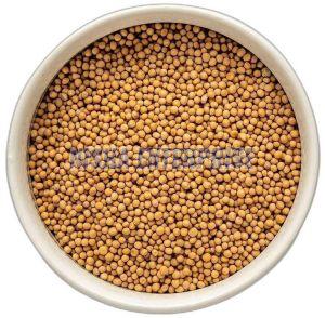Yellow Mustard Seeds