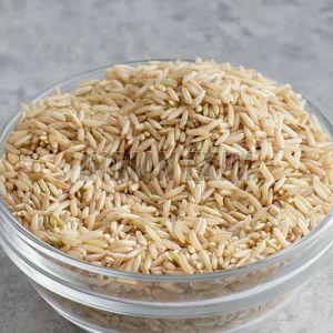 Pusa Raw Brown Non Pesticide Basmati Rice