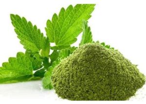Dehydrated Mint Leaves Powder