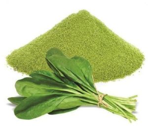 Dehydrated Spinach Powder
