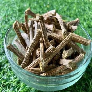 Natural Giloy Stem
