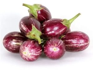 A Grade Fresh Brinjal