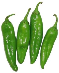 Bhavnagri Green Chilli