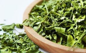 Dry Moringa Leaves