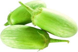 Fresh Green Brinjal