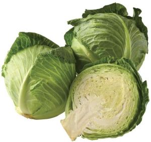 Fresh Green Cabbage