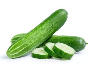 Fresh Organic Cucumber