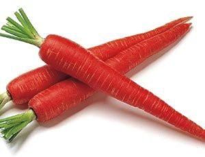 Fresh Red Carrot