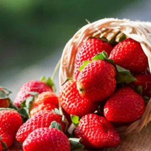 Fresh Sweet Strawberry