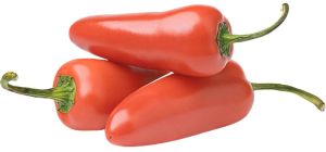 Indian Fresh Red Chilli