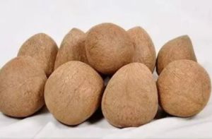 Dried Coconut