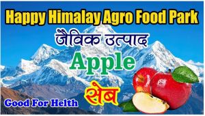 A Grade Himalayan Apple