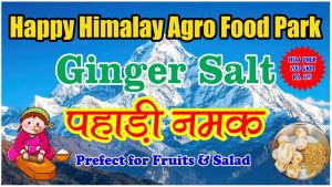Ginger Pahadi Salt