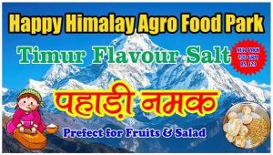 Timur Pahadi Salt