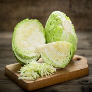 A Grade Green Cabbage