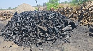 Hard Wood Charcoal