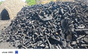 Wood Charcoal