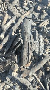 Wood Charcoal