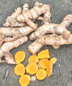 Fresh Turmeric Finger