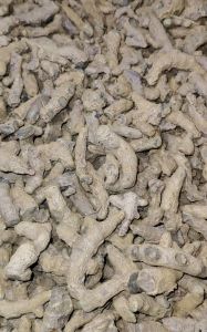 Unpolished Turmeric Finger
