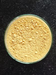 40% DHA Protein Powder