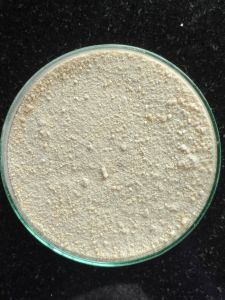 Calcium Fructoborate Powder