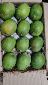 A Grade Natural Alphonso Mango