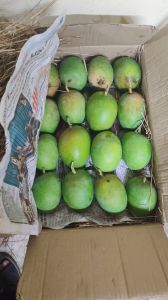 A Grade Natural Alphonso Mango