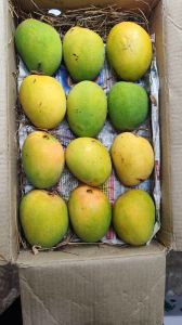A Grade Natural Alphonso Mango